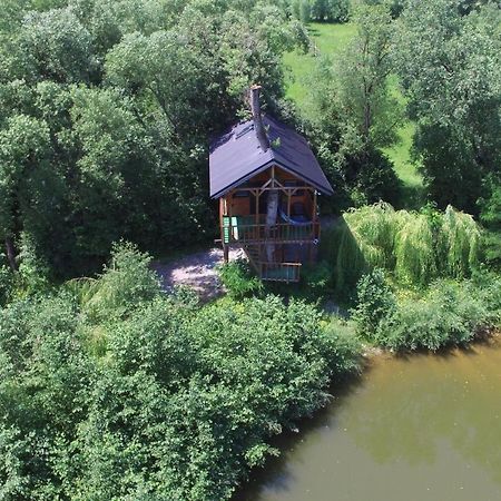 Cuibul Vulturilor - Casuta In Copac Villa Moisei Dış mekan fotoğraf