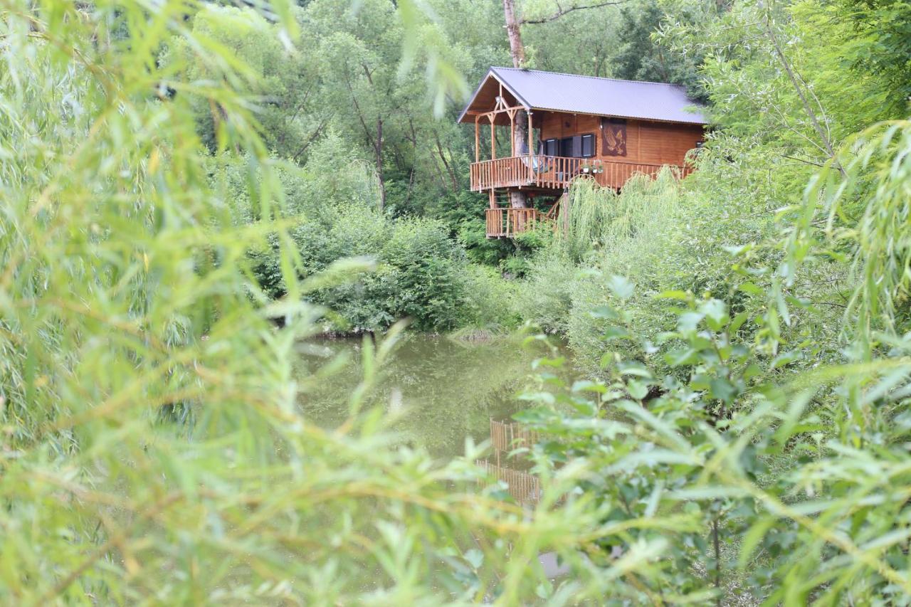 Cuibul Vulturilor - Casuta In Copac Villa Moisei Dış mekan fotoğraf