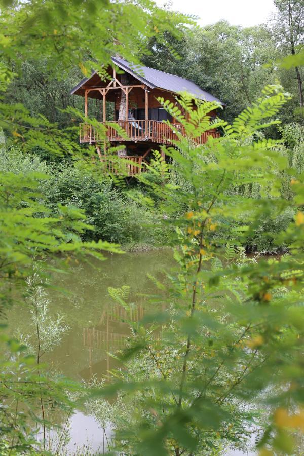 Cuibul Vulturilor - Casuta In Copac Villa Moisei Dış mekan fotoğraf