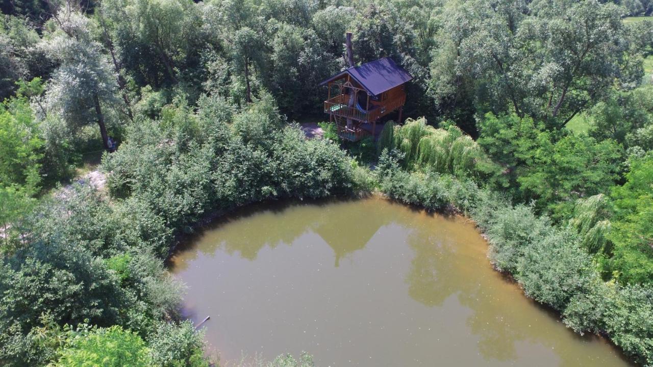 Cuibul Vulturilor - Casuta In Copac Villa Moisei Dış mekan fotoğraf