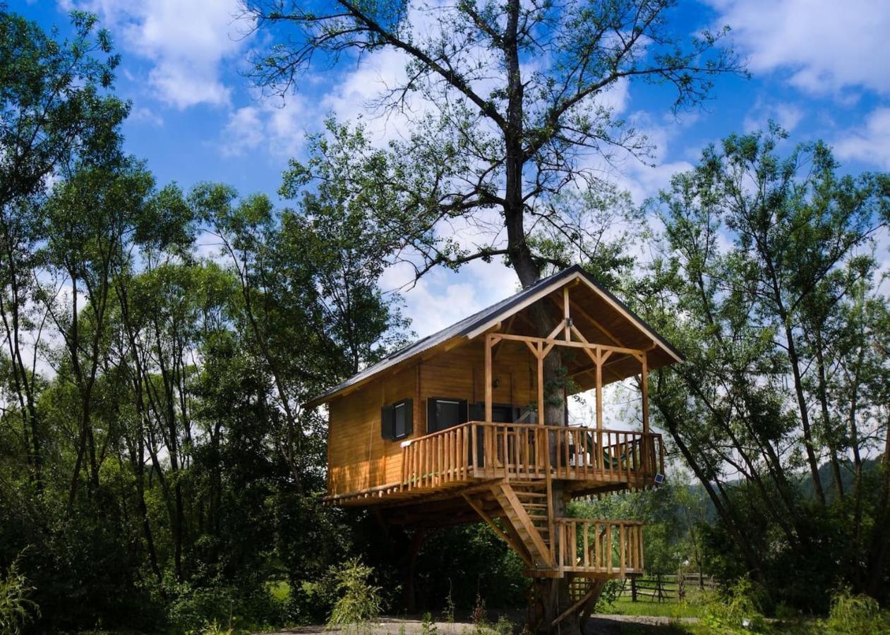 Cuibul Vulturilor - Casuta In Copac Villa Moisei Dış mekan fotoğraf